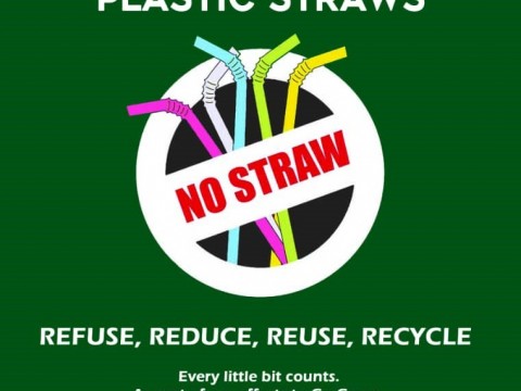ZERO PLASTIC USAGE : AN OVERVIEW 