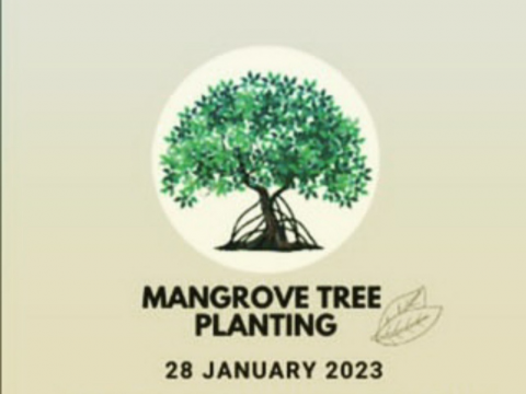 Mangrove Tree Planting and Waste Analysis