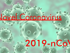 UPDATES ON NOVEL CORONAVIRUS (2019-nCoV) SURVEILLANCE